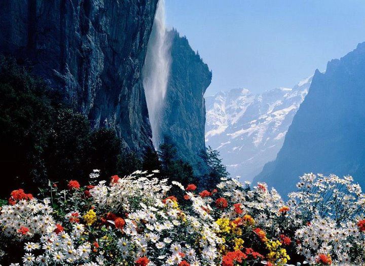 For joy in God's creation: Jungfrau Mountain Range, Switzerland. (source unknown)